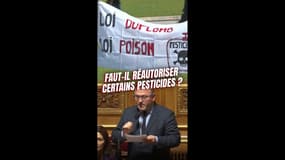 Loi Duplomb : faut-il réautoriser certains pesticides ? 