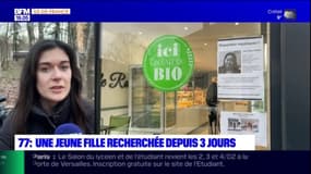 Seine-et-Marne: une femme de 25 ans portée disparue depuis près d'une semaine vers Fontainebleau