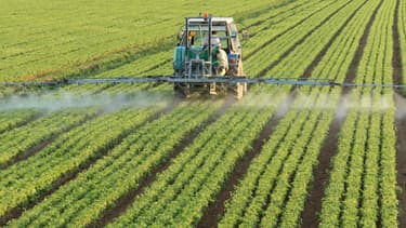 Image d'illustration d'un tracteur épandant des pesticides