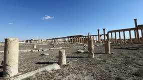 La cité de Palmyre en Syrie le 31 mars 2016.