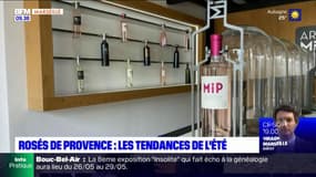 Les rosés de Provence: quelles sont les tendances de l'été ? 
