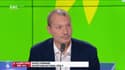 Le Grand Oral de David Cormand, secrétaire national d'EELV – 12/08