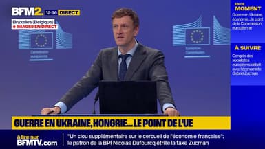 L'UE favorable à une rencontre Trump-Poutine à Budapest, si elle fait "avancer le processus de paix" (Commission)