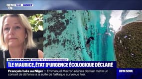 Île Maurice: pour Barbara Pompili, "la priorité absolue, c'est de limiter la pollution"