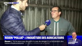 Près de Rouen, cet agriculteur a confiné ses bêtes pour les protéger