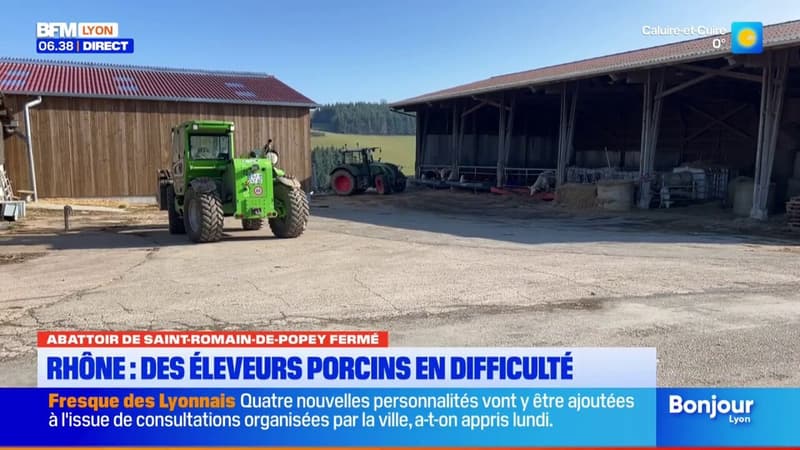 Fermeture de l'abattoir de Saint-Romain-de-Popey: les éleveurs porcins en difficulté