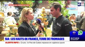 Salon de l'agriculture: les Hauts-de-France, terre de fromages