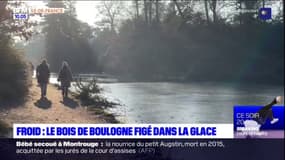 Hauts-de-Seine: le bois de Boulogne figé dans la glace