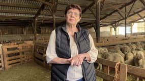 Marie-José Allemand, députée de la 1re circonscription des Hautes-Alpes depuis le 7 juillet 2024
