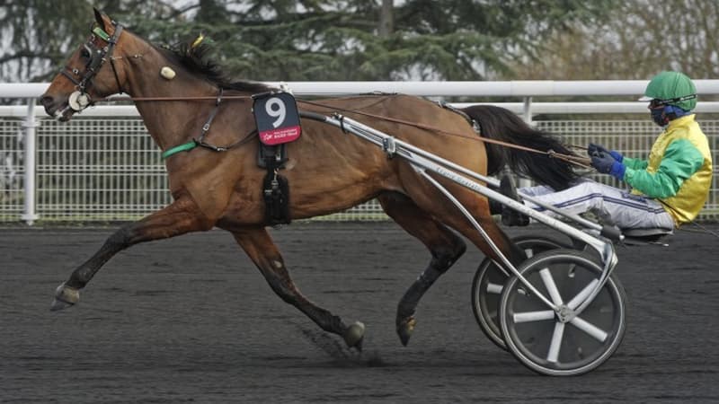 Face Time Bourbon est le tenant du titre du Prix d'Amérique