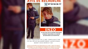 Une battue est organisée mercredi 11 avril à Strasbourg, pour retrouver le jeune Enzo, disparu depuis une dizaine de jours. 