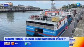 "La mort de la pêche des Hauts-de-France": les pêcheurs inquiets par de nouvelles restrictions discutées à l'Unoc