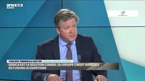 Vincent Ribereau-Gayon (Sodica) : Sodica est la solution conseil du groupe Crédit Agricole en fusions-acquisitions - 30/10