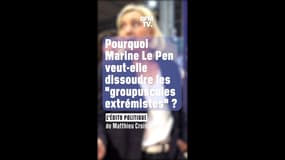 ÉDITO - Pourquoi Marine Le Pen veut-elle dissoudre les "groupuscules extrémistes" ?