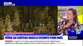 Seine-et-Marne: féérie au château de Vaux-le-Vicomte pour Noël