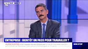 Entreprises: vers une généralisation du pass sanitaire pour les employés en présentiel ?