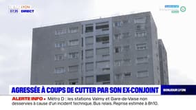 Vénissieux: une femme gravement blessée à coups de cutter par son ex-conjoint