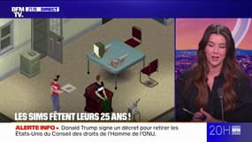 Les Sims fêtent leur 25e anniversaire