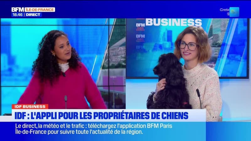 Île-de-France Business : IDF, l’appli pour les propriétaires de chiens -...