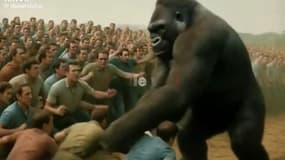 100 hommes VS un gorille