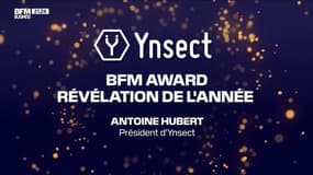 BFM Awards 2020: le prix de la révélation de l'année est remis à Ynsect