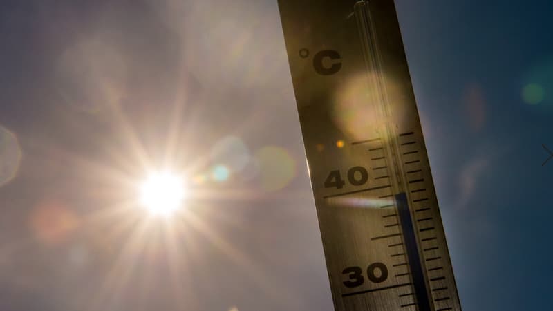 L'été commence à peine et les températures dépassent déjà les 40°C en Corse