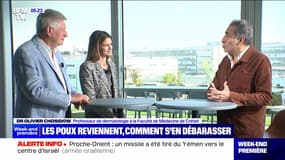 Les poux reviennent, comment s'en débarrasser - 15/09