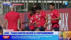 Losc: coup dur pour Tiago Santos, gravement blessé au genou