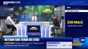 Fin de la HYPE ESG ? "On attendait trop de l'ESG ! On pensait que la finance allait tout résoudre"
