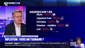 "On peut craindre que cette inflation à 2 chiffres se poursuive": Le président de Système U explique les hausses des prix sur BFMTV