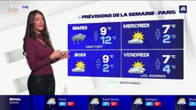 Météo Paris-Ile de France du 3 janvier: Des gris et de la pluie