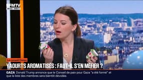 Le conseil Conso - Yaourts aromatisés: ce que des députés veulent changer
