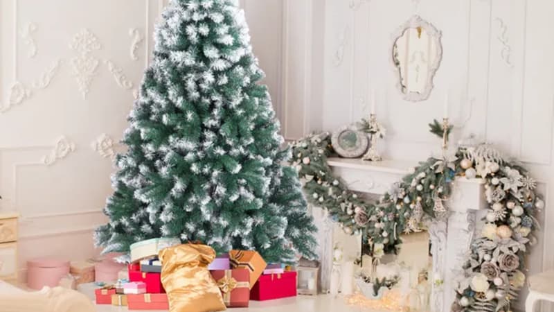 À moins de 40 euros, difficile de trouver une offre plus intéressante pour un sapin de Noël