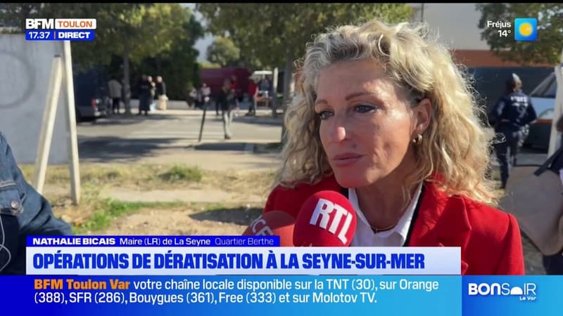 La Seyne-sur-Mer: opération de dératisation à la cité Berthe