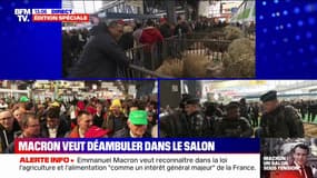 Y'aura t-il une déambulation du président de la République dans les allées du Salon de l'agriculture ?