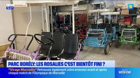 Parc Borély: les rosalies, c'est bientôt fini?