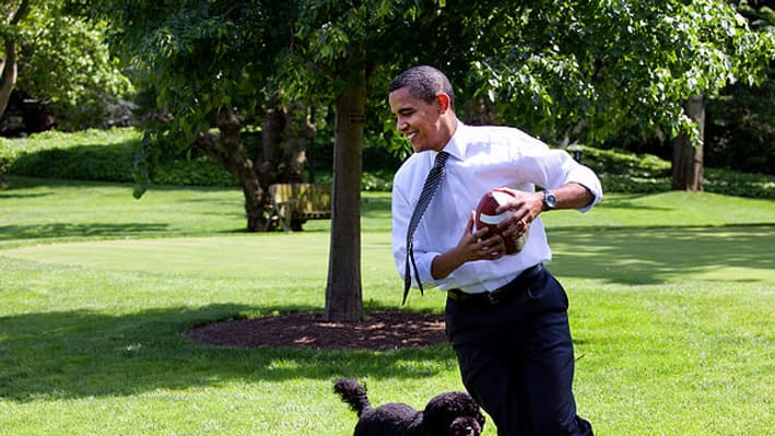 800px-Barack_Obama_runs_away_from_the_family_dog_2009-05-12.jpg 800px-Barack_Obama_runs_away_from_the_family_dog_2009-05-12.jpg