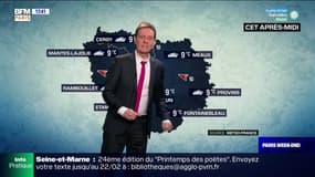 Météo Paris-Ile de France du 25 décembre: Un ciel gris