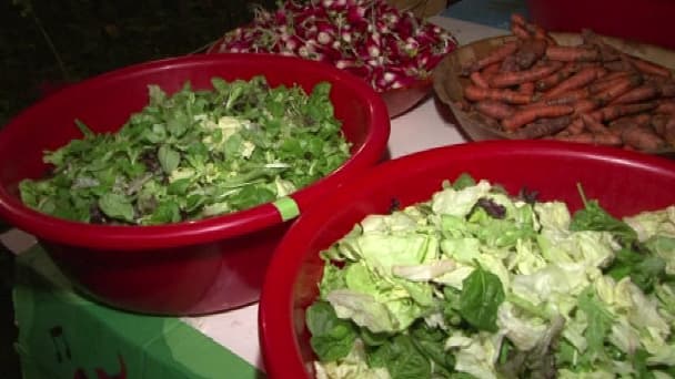 Des légumes récupérés par l'association Disco Soupe.