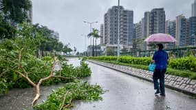 Un passant observe un arbre arraché par les vents violents du typhon Saola, à Hong Kong, le 2 septembre 2023