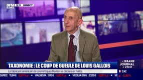 Taxonomie : le coup de gueule de Louis Gallois 