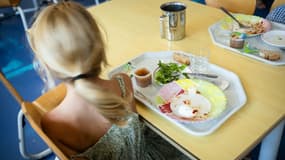 Huit mairies, dont Marseille, Paris et Lyon, ont temporairement banni le thon des menus de leurs cantines scolaires pour "faire cesser l'exposition des enfants au mercure", un métal neurotoxique