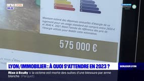 Lyon: à quoi ressemblera le marché de l'immobilier en 2023?