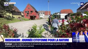 Riedisheim: des habitants au rendez-vous pour embellir la commune lors d'une journée citoyenne pour la nature