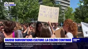 Baisse subventions culture : la colère continue