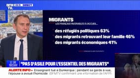 Laurent Jacobelli (RN): "L'immigration que l'on voit à Lampedusa est faite pour tirer avantage d'un système social généreux"