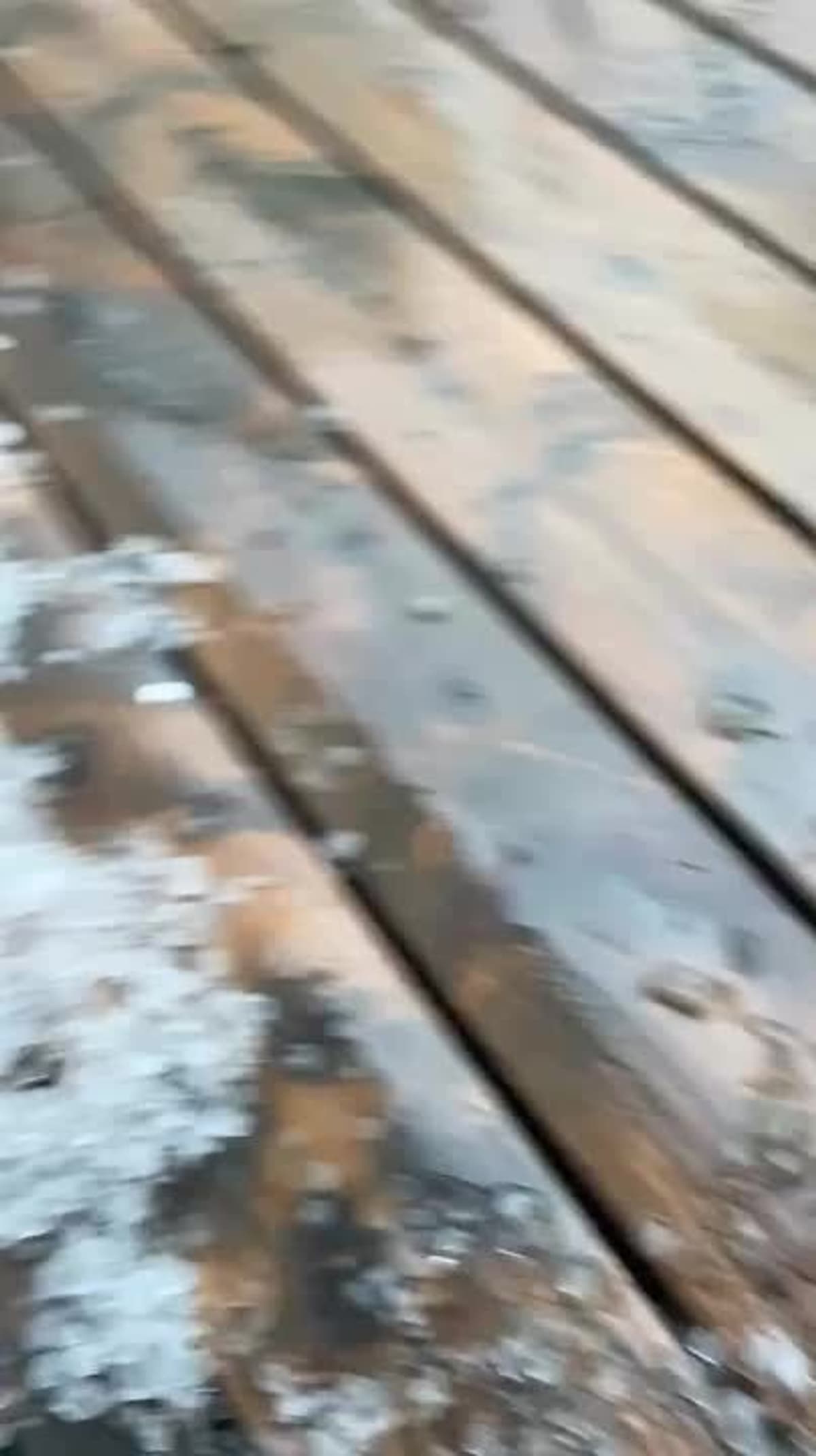 placeholder video