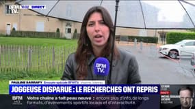 Joggeuse disparue: ce que l'on sait du dispositif déployé pour la deuxième journée de recherches
