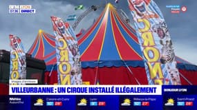 Villeurbanne: un cirque installé illégalement 