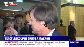 Gilets jaunes: pour Nicolas Hulot, "c'est important de garder une pression, mais il faut rentrer dans un dialogue constructif"